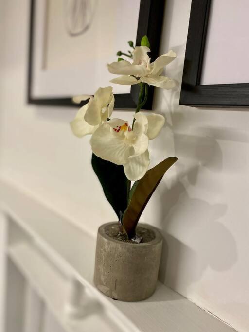 Victoria Street Apartment Sleeps 2 Liverpool Bagian luar foto